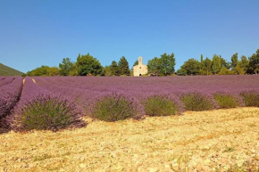 Le mazet Sainte-Jalle, jardin barbecue